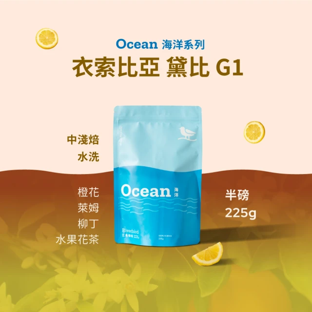 微美咖啡 衣索比亞 古吉 罕貝拉 花蝶 G1 水洗 淺焙咖啡