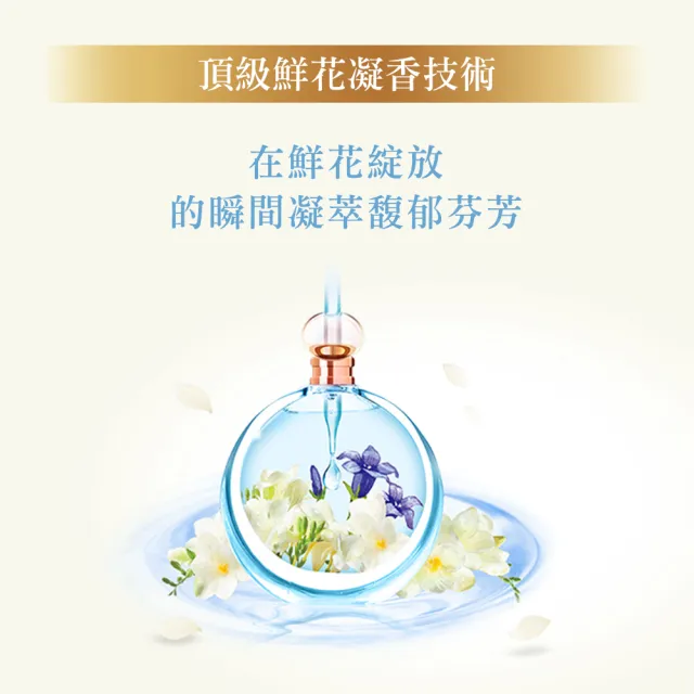 【熊寶貝】香水精華柔軟護衣精瓶裝700ml 2入組(共1400ml 玫瑰/小蒼蘭/山茶花)