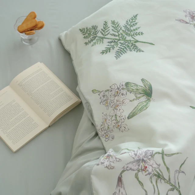 翔仔居家 90/10 頂級法國灰鵝絨枕(1入)折扣推薦