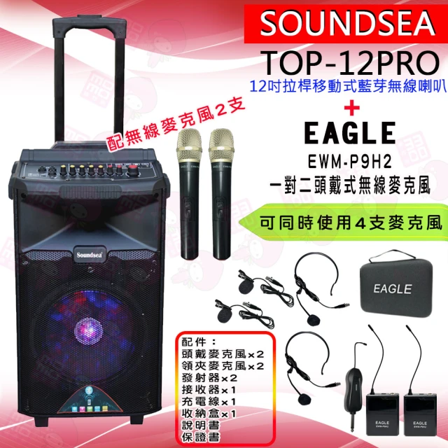 SOUNDSEA TOP-08PRO配2手握式無線麥克風+E