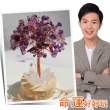 【命運好好玩】湯鎮瑋-名利貴人紫晶樹燈