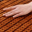 【DeKo岱珂】孟宗竹單人加大碳化麻將竹蓆 涼蓆 3D透氣加厚網布 速達(單人加大3.5*6尺)