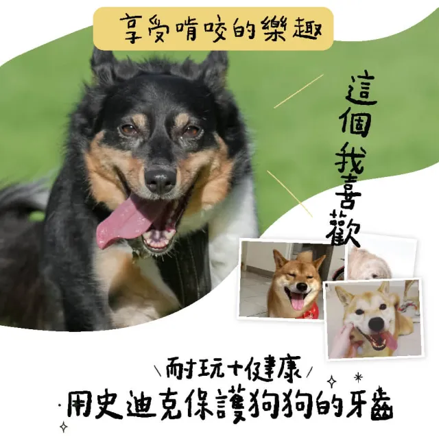 【Petstages】耐咬史迪克-L(潔牙 耐咬 安全無毒 狗玩具)