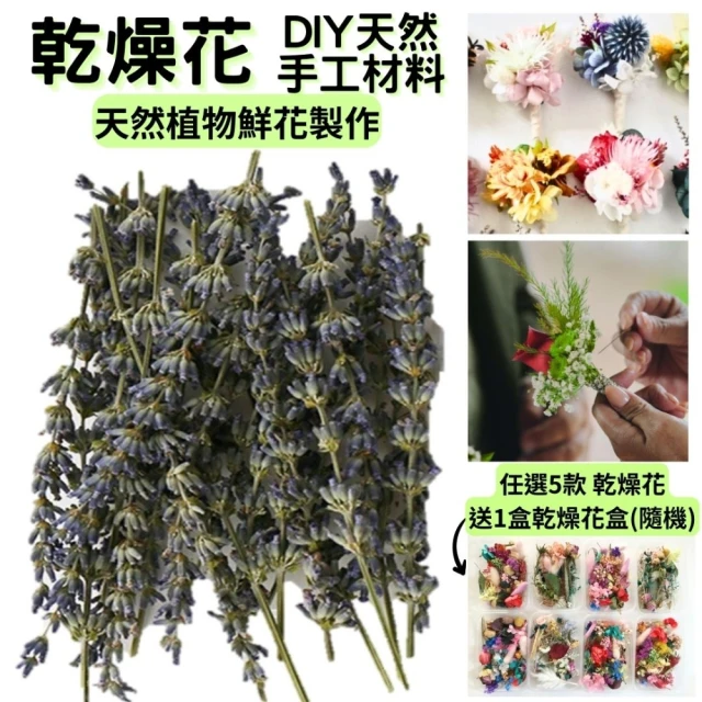 A-ONE 匯旺 乾燥薰衣草 薰衣草 花束 天然 芳香 療癒 畢業花束 可做香包 插花 滿天星 捧花(A22)