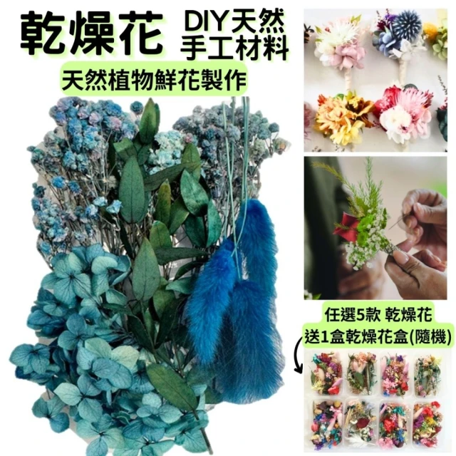 A-ONE 匯旺 天然乾燥花盒 粉紅 乾燥花 永生花 不凋花 DIY花材 搭配花材 短枝 碎花 植物果實(A04)