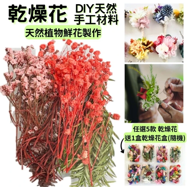 A-ONE 匯旺 永生乾燥花 浮游花 蠟燭用 花藝材料包 拍照道具 花材 乾花 裝飾用 居家裝飾 卡片裝飾(A07)