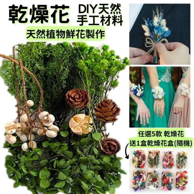 A-ONE 匯旺 花藝材料 DIY天然乾燥花 材料包 乾燥花材 松果 乾花 永生花 仿真花 素材 橡實(B10)