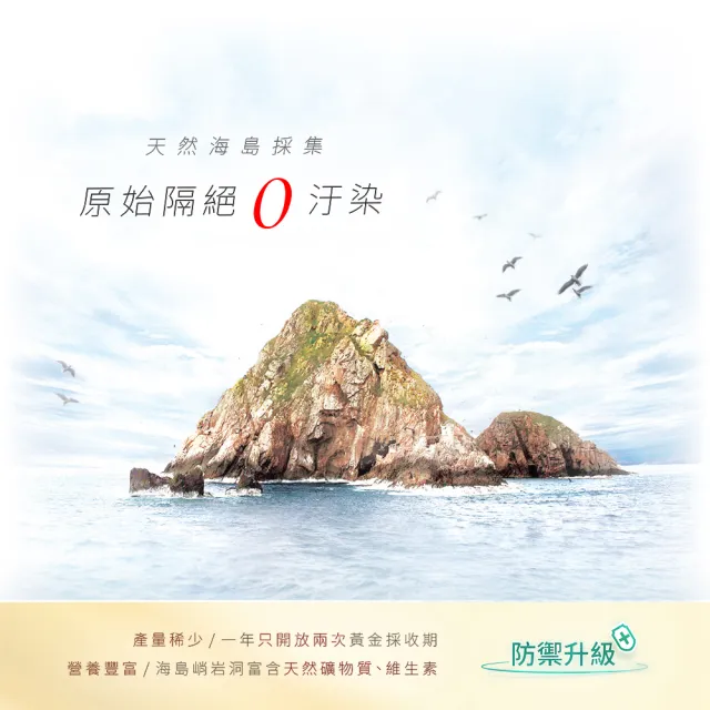 即期品【京越莊】頂級海島低糖燕窩禮盒(送禮首選)