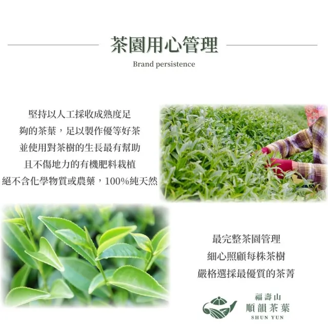 【順韻茶葉】大禹嶺碧綠仙境一斤組75g x 8包(共1斤)