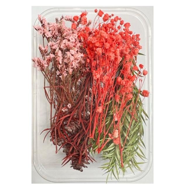 【A-ONE 匯旺】永生乾燥花 浮游花 蠟燭用 花藝材料包 拍照道具 花材 乾花 裝飾用 居家裝飾 卡片裝飾(A07)