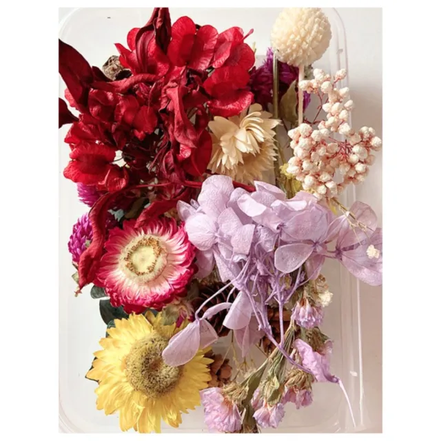 【A-ONE 匯旺】天然乾燥花 隨機出貨 乾花 花藝材料包 永生花 浮油花 植物果實(D01)