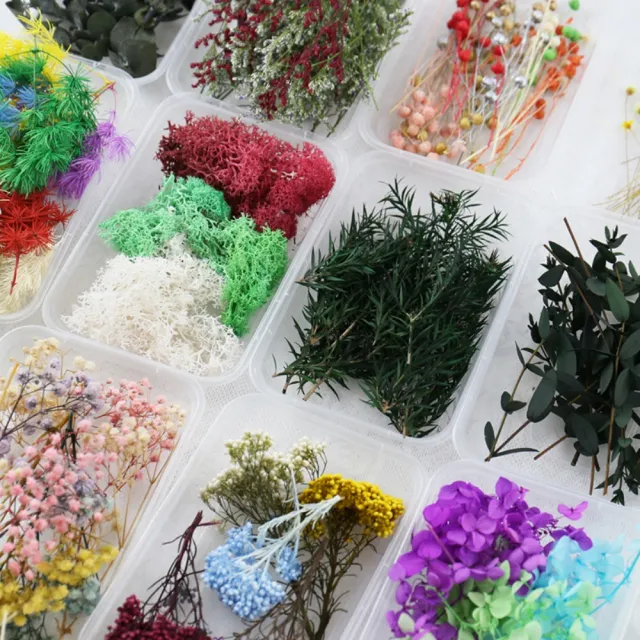 【A-ONE 匯旺】天然乾燥花 植物果實 拍照道具 花材 花藝材料包 浮游花 永生花 浮油花 乾花 乾燥花材(C11)