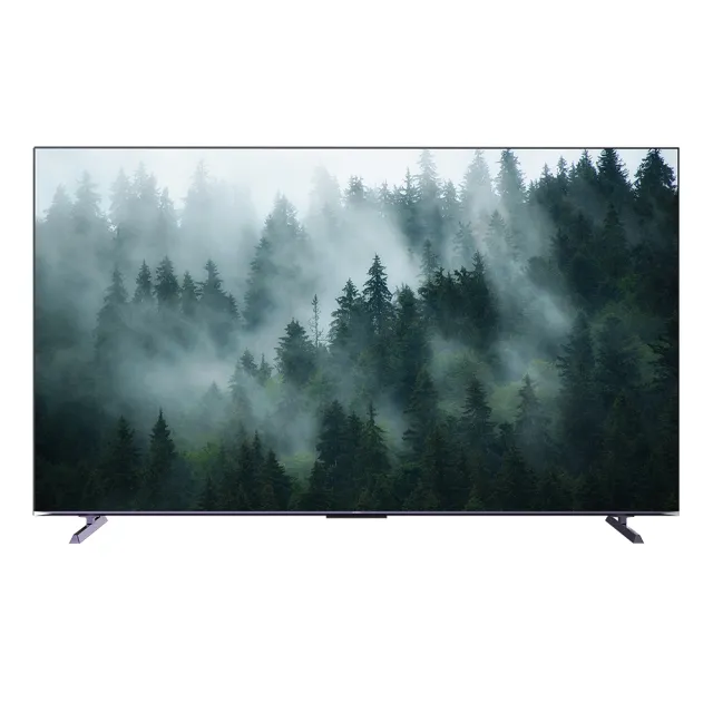 【SKYWORTH 創維】100吋4K QLED 120Hz Google TV聯網液晶顯示器(100SQG9800)