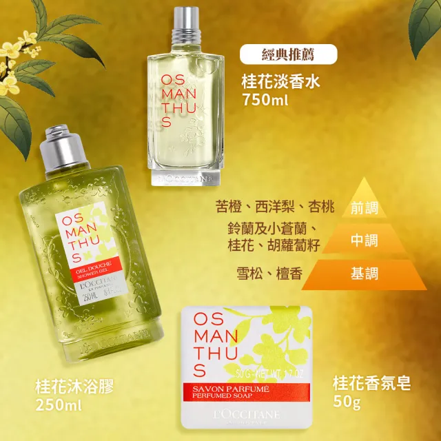 【L’Occitane 歐舒丹】官方直營 桂花護手霜30ml