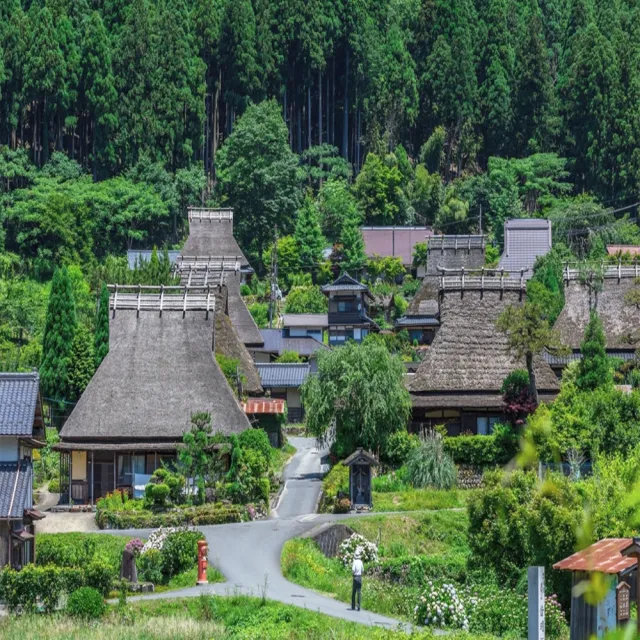 【喜鴻假期】【特惠經典關西５日】日本環球影城、美山合掌村、嵐山竹林、清水寺、奈良公園、敘敘苑燒肉