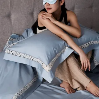 【青鳥家居】益生菌埃及棉歐式枕套2入組(埃及棉/枕套/素色枕套/純棉)