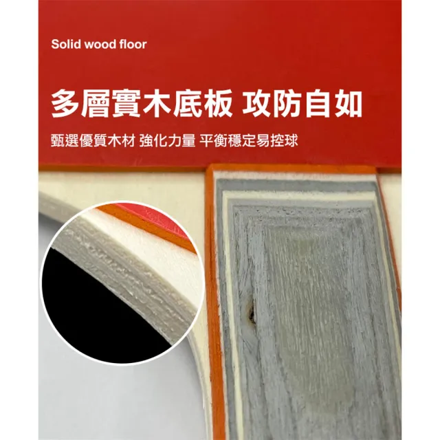 【NWSTA】新起點二拍二球桌球套組(桌球 乒乓球 乒乓球拍 桌球拍 桌球套組/NS453)