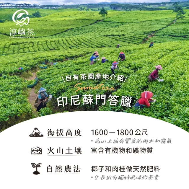 【淳嶼茶】藍月德國洋甘菊綠茶茶包5gx10包/盒(洋甘菊花、綠茶)