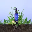 【Melvita蜜葳特】金縷梅花粹(200ml)
