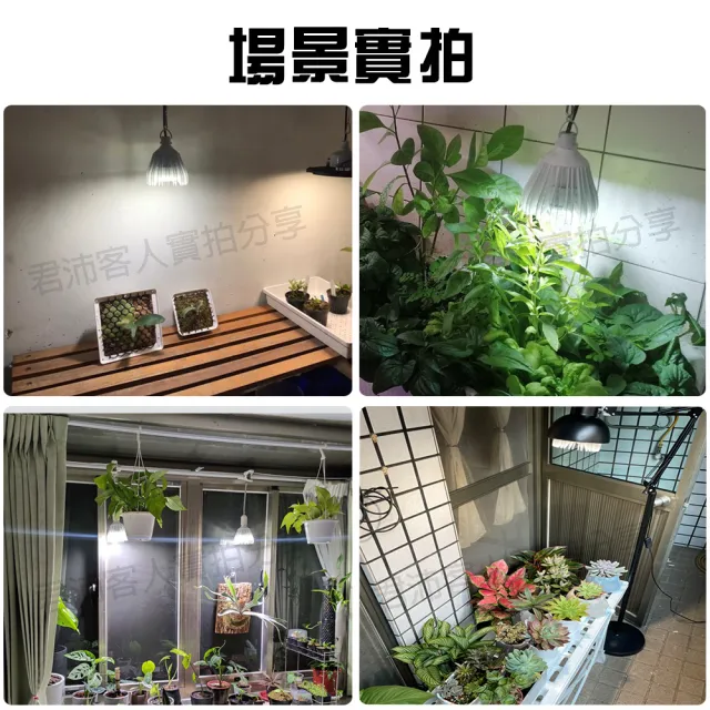 【JIUNPEY 君沛】40W 全光譜E27植物燈泡 吊掛式(植物生長燈)