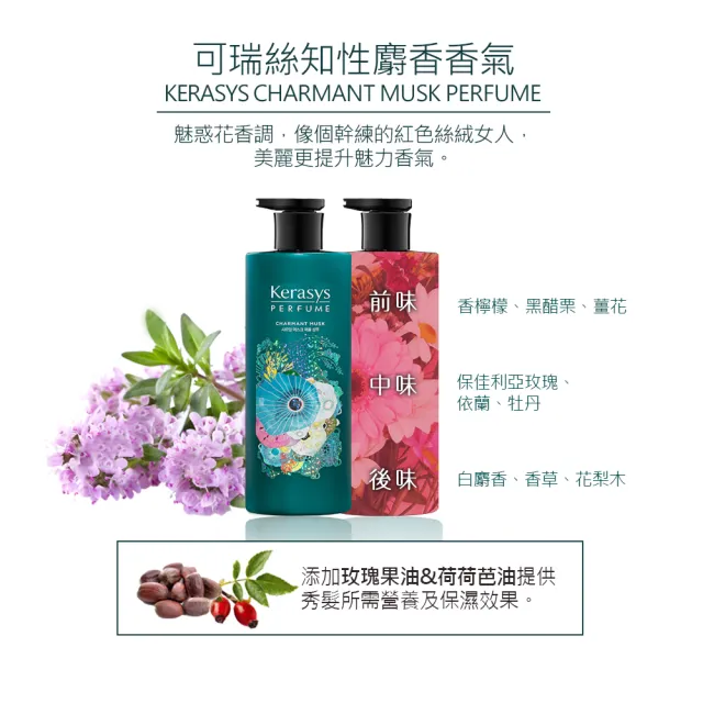 【KeraSys 可瑞絲】3入組_香氛洗髮精600ml(台灣總代理/知性麝香/華麗琥珀/魅力雛菊)