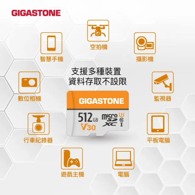 【GIGASTONE 立達】microSDXC UHS-Ⅰ U3 V30 256GB相機攝影記憶卡(支援相機/行車紀錄器/監視器)