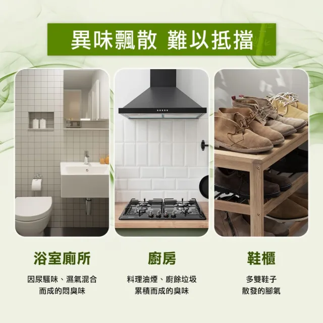 【Have Green Days 綠綠好日】多功能除臭去味活性碳碳包 3入