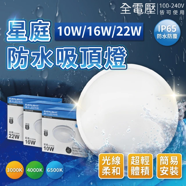 Everlight 億光 LED 星庭 22W 全電壓 IP65 防水防塵等級 戶外照明 吸頂燈(黃光/自然光/白光)