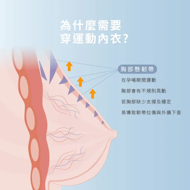 【Gennies 奇妮】3件組*哺乳內衣 AIR美型無鋼圈內衣 運動內衣(共5色)