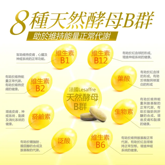 【健康力】天然酵母B群活力錠60錠x2瓶_共120錠 徐若瑄代言(全素 長效緩釋 紅景天 五味子 鋅)