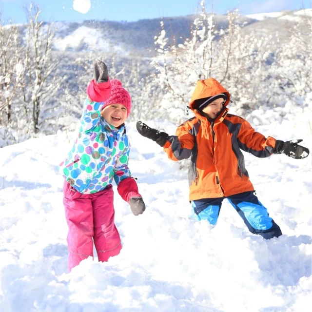 喜鴻假期 【不進人蔘保肝．雙戲雪首爾５日】滑雪體驗、採草莓、愛寶樂園、升等一晚五星