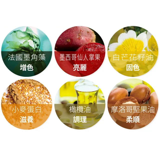 【樹飛雪】髮學院健康☆染髮霜- 簡易包-多色可選(白髮救星 不含阿摩尼亞 成分溫和 持久固色)