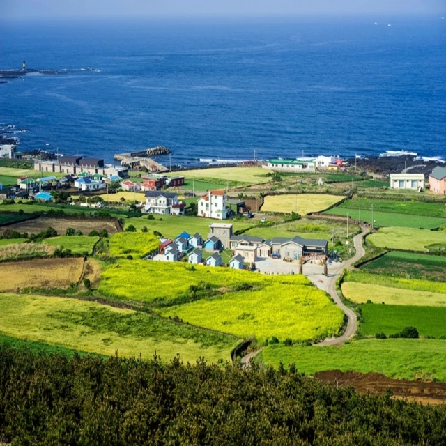 喜鴻假期 【購物兩站．Chill玩濟州5日】五星藍鼎飯店、牛島海洋公園、汗蒸幕、亂打秀