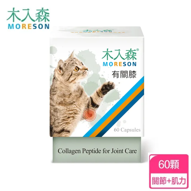 【木入森】貓咪有關膝 60顆/盒(貓咪關節保健食品 膠原蛋白 玻尿酸 老貓照護 貓關節保健)