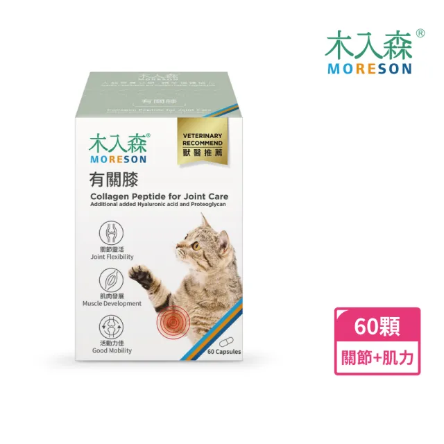 【木入森】貓咪有關膝 60顆/盒(貓咪關節保健食品 膠原蛋白 玻尿酸 老貓照護 貓關節保健)