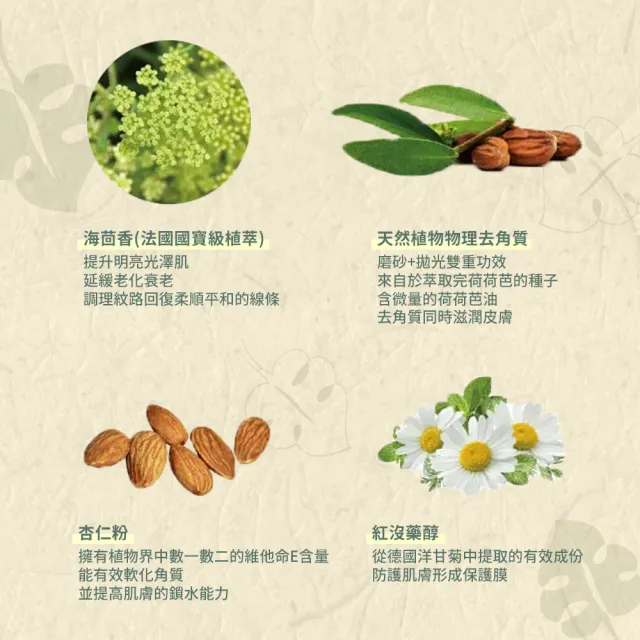 【b.Aromma貝羅馬】美胸角質更新霜380ml(去角質霜)