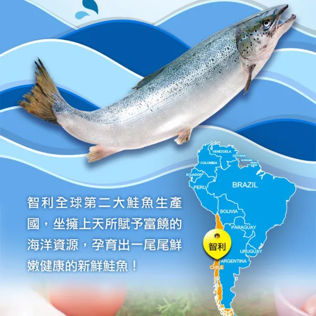 【愛上海鮮】鮮凍智利鮭魚菲力3包組(180g±10%/包)