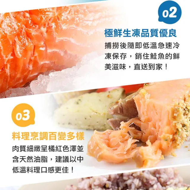 【愛上海鮮】鮮凍智利鮭魚菲力3包組(180g±10%/包)