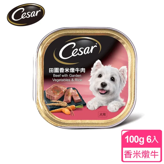 【Cesar 西莎】經典風味餐盒 100g*6入 寵物/狗罐頭/狗食