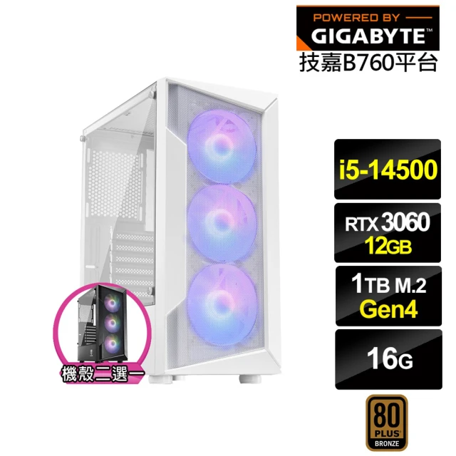 技嘉平台 i5十核GeForce RTX 4060TI{天鷹