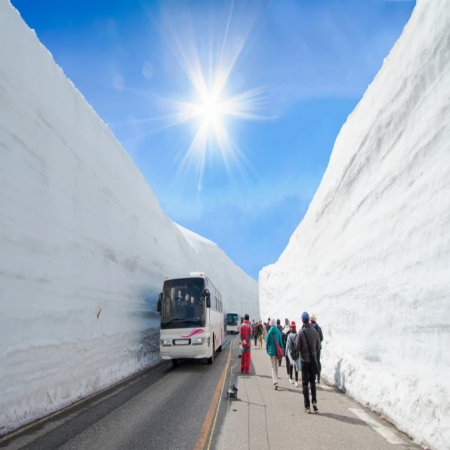 喜鴻假期 【立山黑部．雪牆絕景６日】白川鄉合掌村、國寶犬山城、兼六園、三光稻荷神社、名古屋