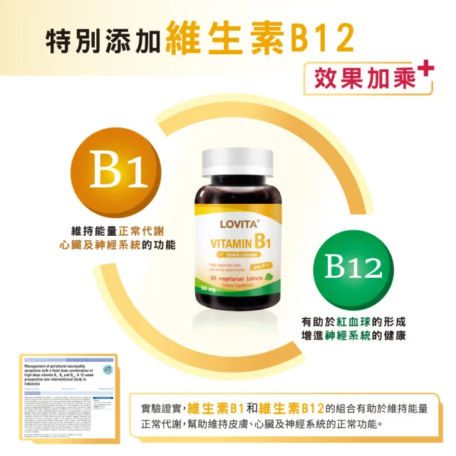 【LOVITA 愛維他】緩釋型維生素B1素食錠*3瓶(50mg 添加維生素B12)