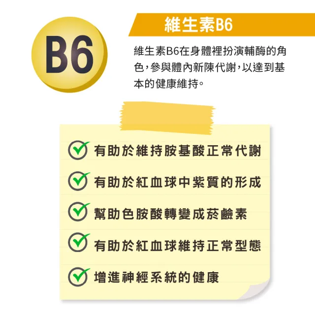 【LOVITA 愛維他】緩釋型維生素B6素食錠*3瓶(80mg)