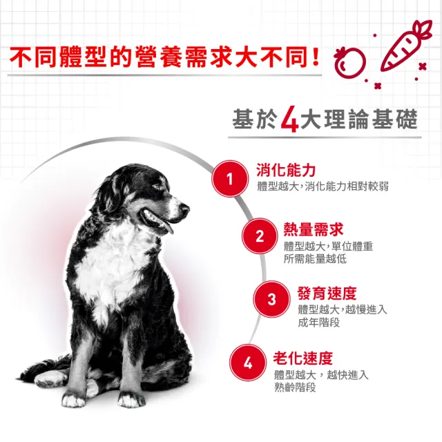 【ROYAL 法國皇家】中型成犬專用飼料 MA 10KG(狗乾糧 狗飼料)