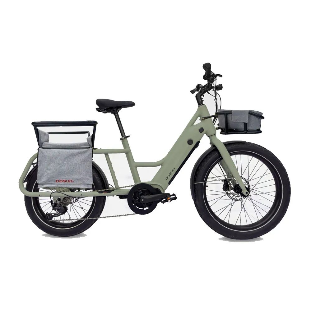 【DOSUN】eCARGO BIKE CG135消光綠電動輔助自行車/腳踏車 前貨架+V型貨架(車麗屋)