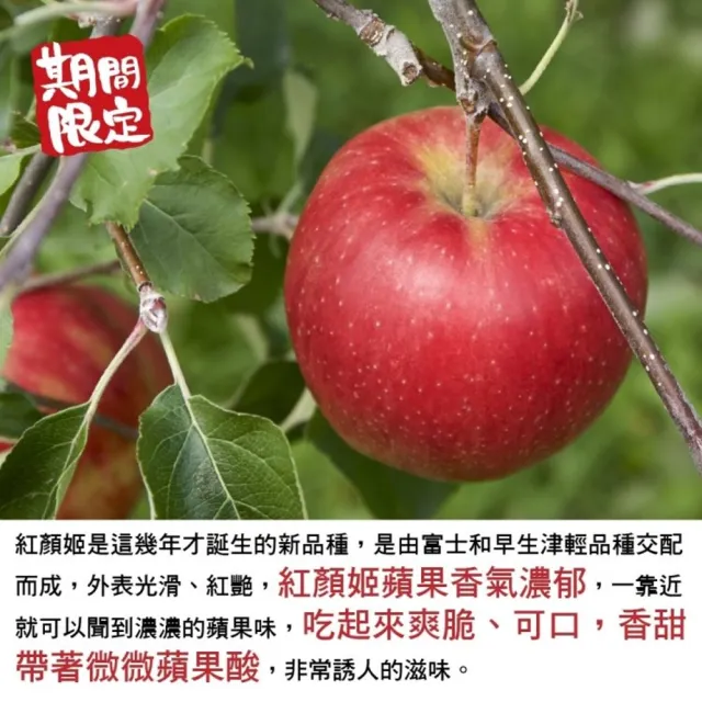 【WANG 蔬果】日本青森紅顏姬蘋果40粒頭5kgx1箱(20-23顆/箱)