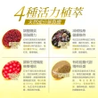 【Dr.Advice 健康力】法國天然酵母B群活力錠30錠x4瓶_共120錠 徐若瑄代言(全素 長效緩釋 紅景天 五味子 鋅)