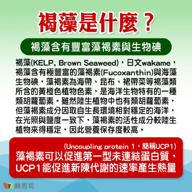 【赫而司】防彈MCT褐藻素碘3罐(共180顆;海藻精碘中鏈脂肪酸能量油軟膠囊促進新陳代謝)