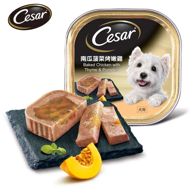 【Cesar西莎】經典風味餐盒 100g*48入 寵物/狗罐頭/狗食(任選)