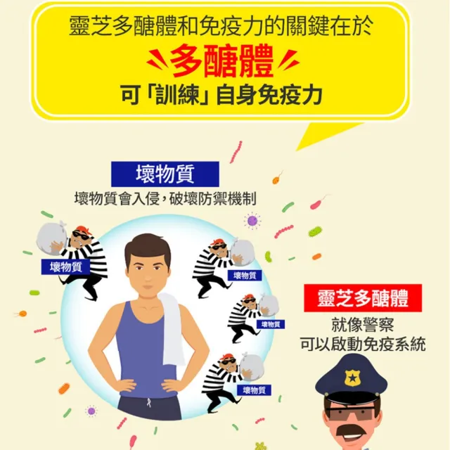 【葡萄王】認證靈芝60粒X4瓶 共240粒(國家調節免疫力健康食品認證 葡萄王官方)